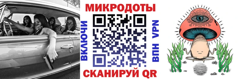 Галлюциногенные грибы Psilocybine cubensis Коммунар